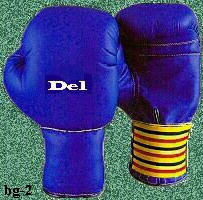 boxing gloves