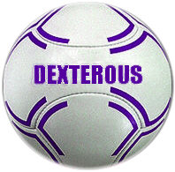 6 pannel soccer ball