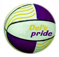basket ball  / PRIDE