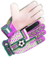 keeper glove