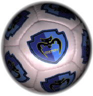 carporate promotion,mini balls,MINI BALL,MINI BALLS,mini balls,Soccer balls,sialkot,Pakistan,mini rugby,mini basket ball,promotional balls